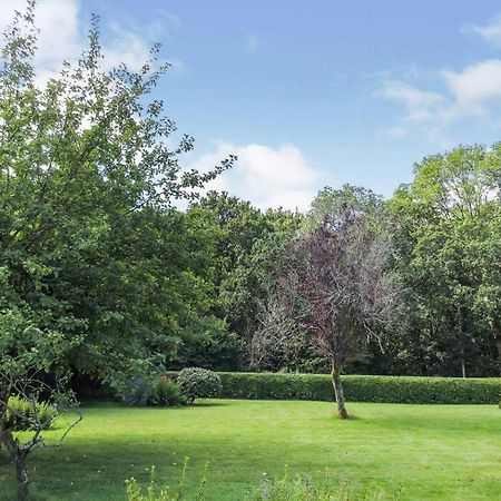 Woodland House B & B Wimborne Minster Extérieur photo