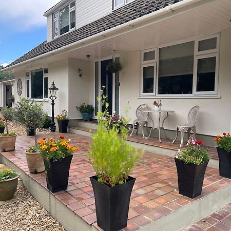 Woodland House B & B Wimborne Minster Extérieur photo